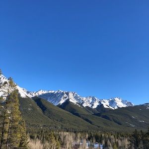 Meet your Posher, Ellapink